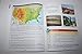 Understanding Geography Level 4 - Map skills and our world