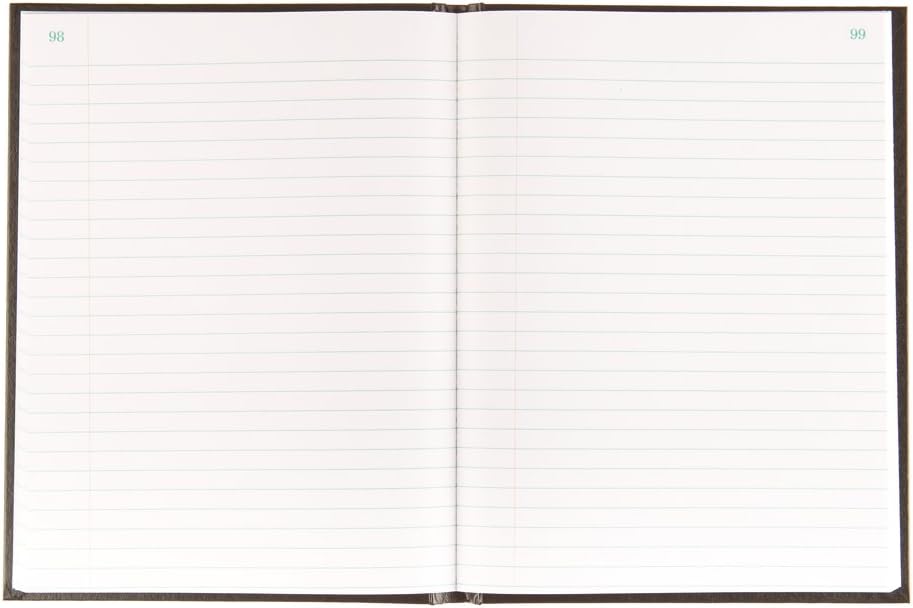 Blueline Record Book, Black, 10.25 x 7.69 inches, 200 Pages (A796.01) : Financial Paper : Office Products