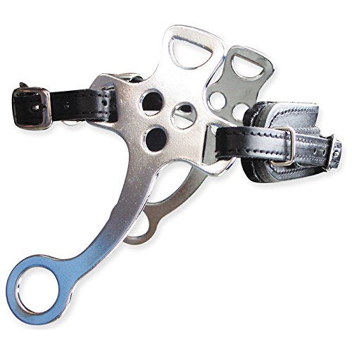 Acier chromé Hackamore