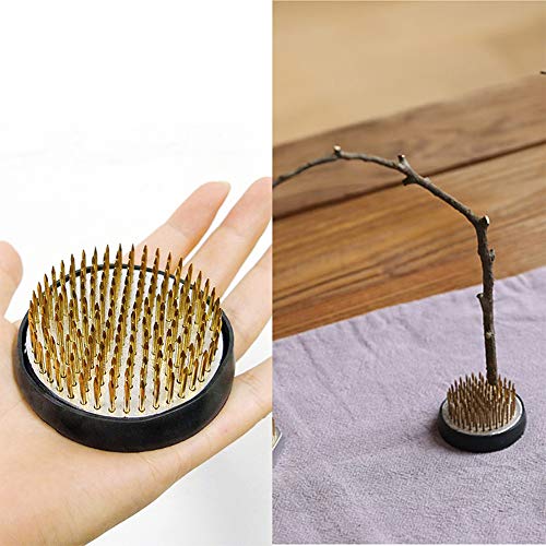 SteelFever Hochwertigem Blume Frosch rund Halterung für Arrangements, Größe 6 x 6 cm Blumensteckiggel