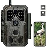 【Ausgezeichnete Bildschärfe】Die GardePro E8 Wildkamera kann klare 32MP-Bilder und flüssigere H.264 1296P-Videos mit Audioaufnahme. Im Vergleich zu MJPEG-Videos, die in anderen Wildkameras verwendet werden, benötigt die kompakte H.264-Datei 80 % weniger Speicherplatz als herkömmliche.
