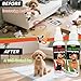 Mesboizy Not Here & Here Potty Training Spray - Dog Pee Spray - Helps Dogs Develop Proper Potty Habits - Essential Potty Spray for Puppies (3.38 fl.oz Each)