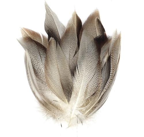 KTGCOZS Pack of 50 Flank Feathers Fly Tying Natural Barred Mallard Duck Flank Feathers Wild Goose Hair Wing