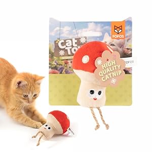 BarkButler x Fofos Mushroom Cat Toy – Premium US Grade Catnip for Cats and Kittens, Textured Toys for Cats, Interactive Cat Accessories with Soft Fabrics & Yarns – Perfect as Kitten Toys, Cat Toys