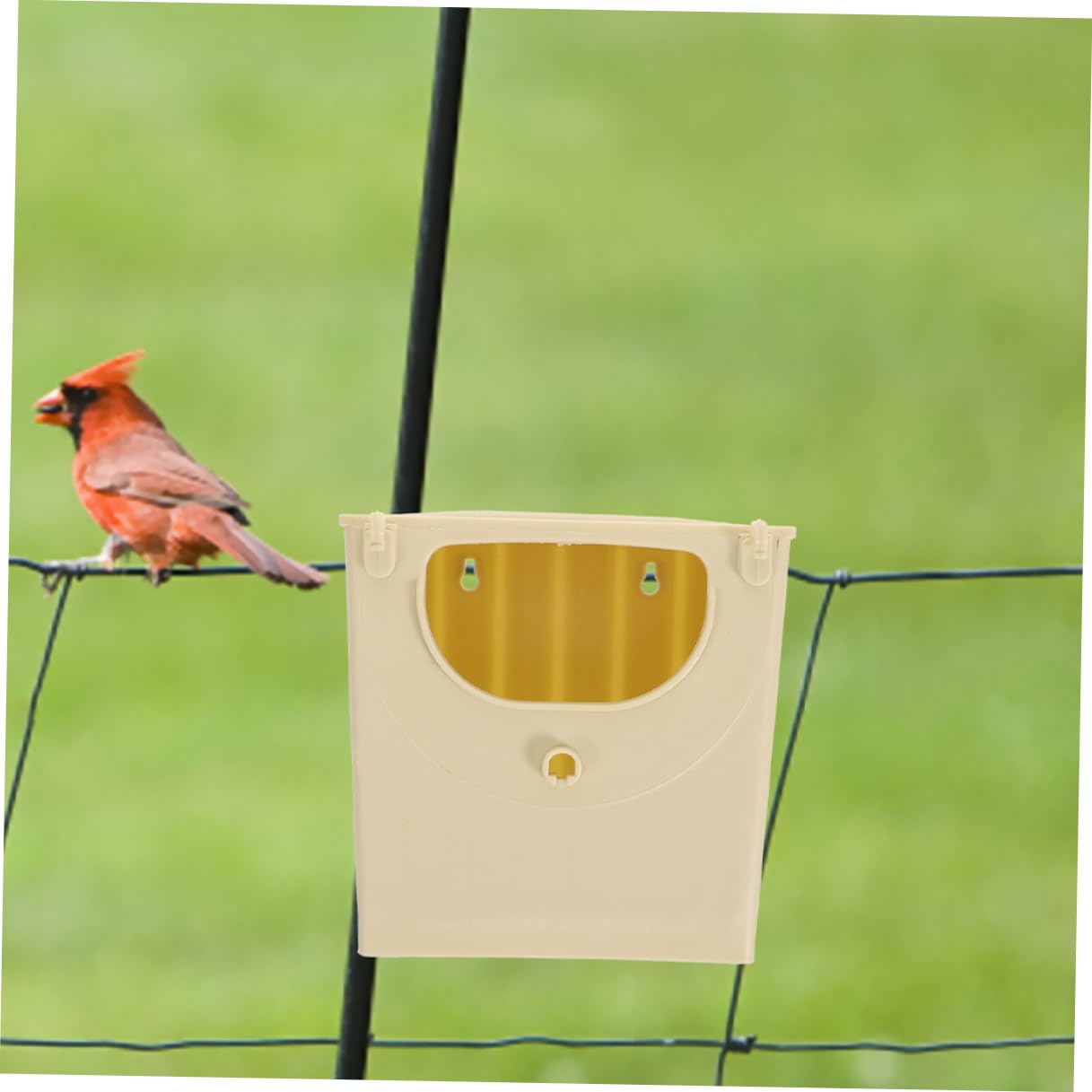 Caja Nido para Periquitos 5 Piezas de Plástico Resistente, Pequeña Casa para Pájaros, Nido de Cría para Loros y Aves Pequeñas, Fácil de Limpiar para Jaulas de Pájaros Interior