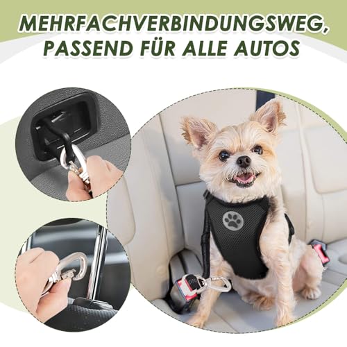 Eyein 2 Stück Hundegurt fürs Auto, Hunde Sicherheitsgurt mit Elastischer Ruckdämpfung, Verstellbarer Hund Anschnallgurt mit Universalstecker & Befestigung für Reisen Reiten im Fahrzeug, Schwarz