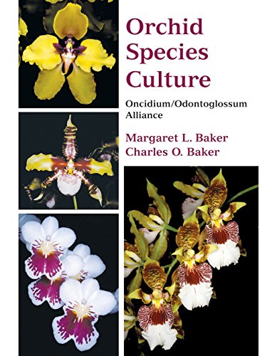 Orchid Species Culture: Oncidium/odontoglossum Alliance Orchid Species Culture: Oncidium/odontoglossum Alliance