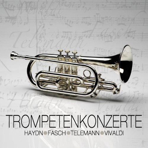 Das Große Klassikorchester mit Franz Sychel