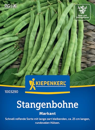 Kiepenkerl Stangenbohnensamen Markant 1003290 - Gemüsesamen für Bohnen mit ca. 25 cm langen Hülsen und Inhalt für 15 bis 20 Stangen - Gemüse Pflanzen Saatgut