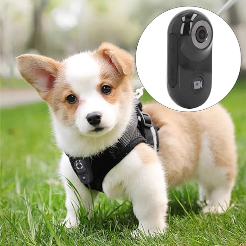 Goshyda 1080P Pet Collar Camera, HD WiFi Cat Dog Thumb Camera - Image 4