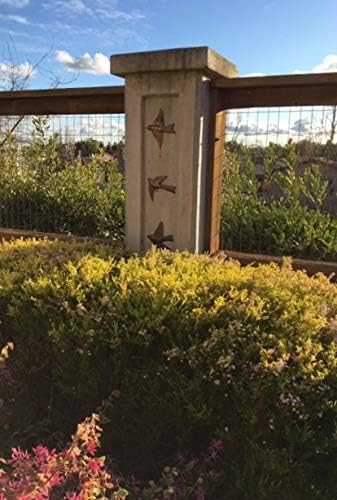 Miniatura 5 de Juego de 5 pájaros decoración de pared, bonitos pájaros voladores, para interiores y exteriores, hechas a mano, decoraciones de pared para sala de