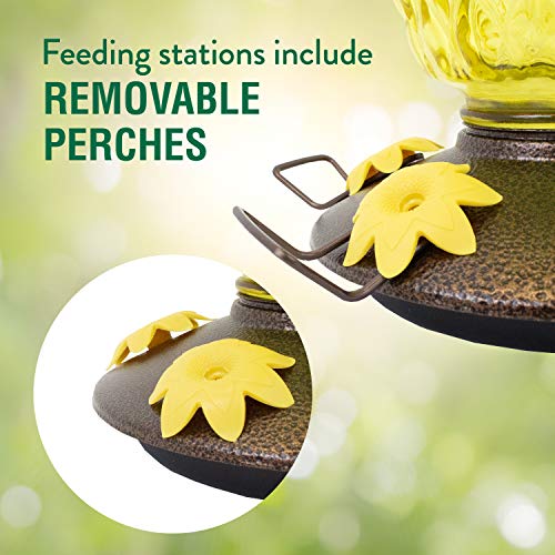 Perky-Pet 9110-1SR Pineapple Top-Fill Glass Hummingbird Feeder – 28 oz, Yellow by Perky-Pet - Image 4