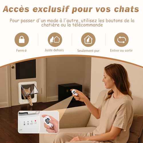 Chatière à puce électronique pour chat avec clés de collier et télécommande d'accès