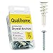 Wall Anchors & Screws