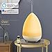 Produktbild Aroma Diffuser NWE-04 Ultraschall-Stumm-Luftbefeuchter-Raum-Luftreinigung-intelligentes APP Sprachsteuerung LED-Farben-Nachtlicht-wasserlose Abschaltung Hauptbüro 300ML , Weiß