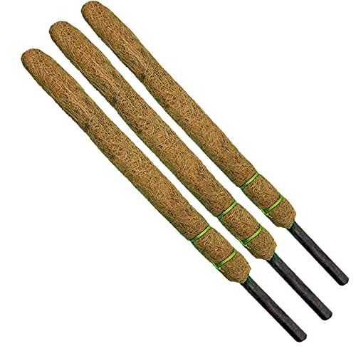 GCI Agro - (4ft) Coco Pole - Coir Moss Stick for Indoor - Outdoor || House Plant Creepers Support (Set of 3) (B0969SYNC2) Amazon Price History, Amazon Price Tracker