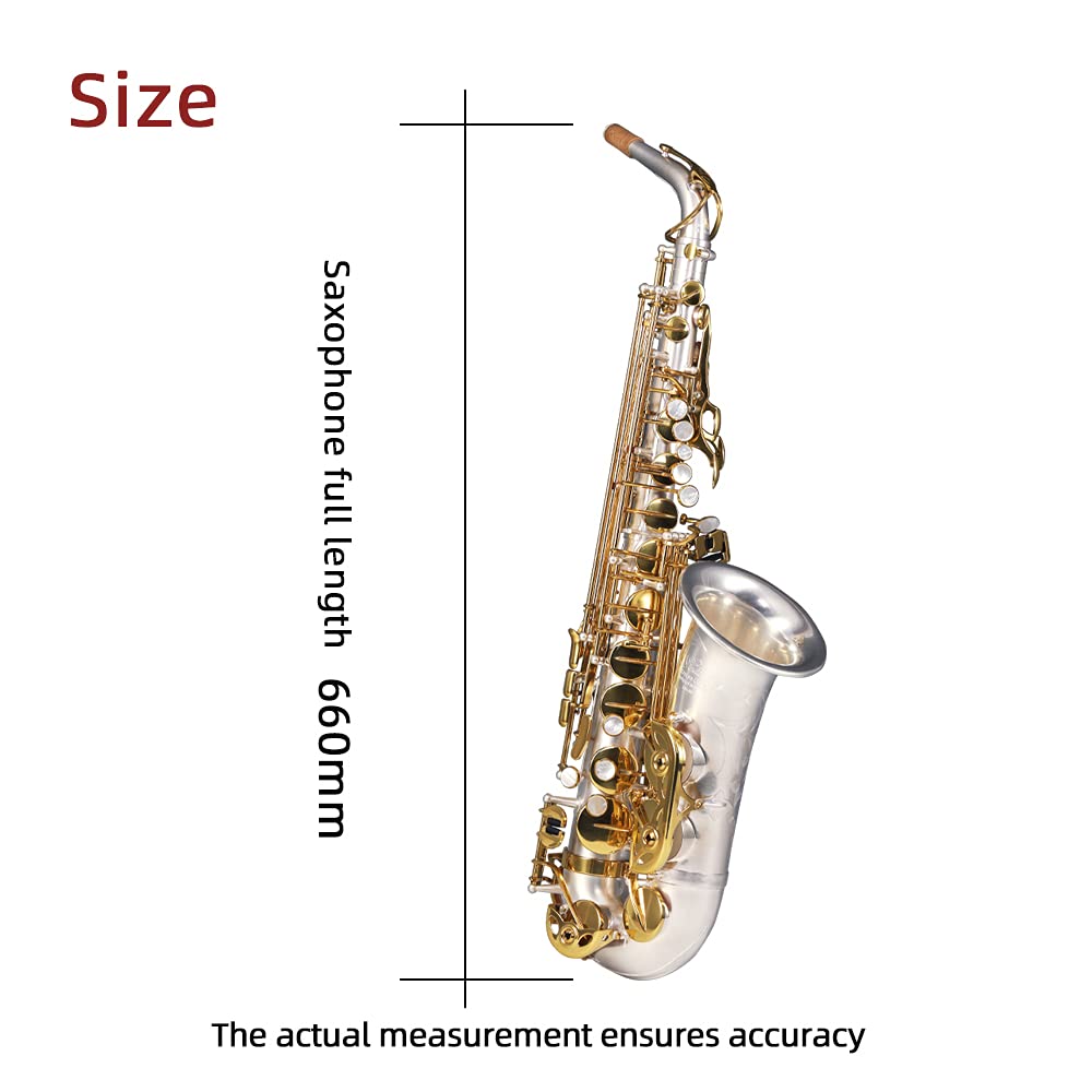 Rollins Saxophone alto RSA-X9,E flat Selmer 54-Key,Matière laiton,or+Argent