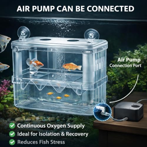Image of Double Deck Aquarium Breeding Box Medium (14x8x14 cm) Acrylic Fish Fry Isolation Tank | Air Pump Connectable Oxygen Supply | Strong Suction Cup Breeder Box for Guppy, Molly, Betta