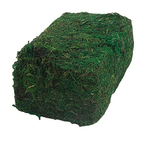 HAPINARY Realistic Simulated Moss Green Decorative Plant Ideal for Landscaping Wreaths Fairy Gardens