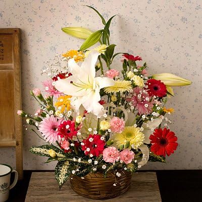 Amazon 翌日配達お花屋さん 人気のお花ガーベラをメインにより華やかに仕上げたアレンジです ナチュラル お誕生日用季節の花ガーベラ アレンジメント 誕生日 記念日 お祝い 結婚祝い お見舞い 歓送迎会 結婚祝いお礼の花の配達便 翌日配達お花屋さん