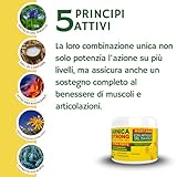 Zoom IMG-2 arnica gel forte per cavalli Zoom IMG-2 arnica gel forte per cavalli