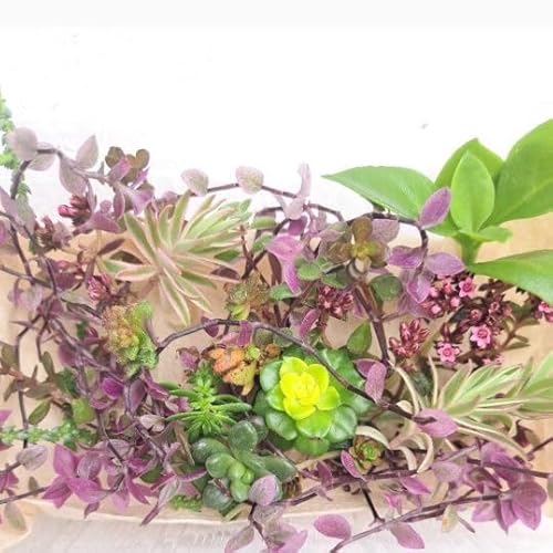 A Zbg 񂹐A ٓ Jbgc GPxA Z_ NbX Zbg ՂZb