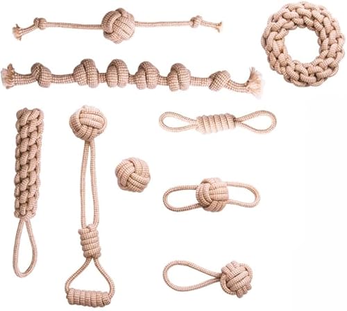 KryZarop 4 _Zbg B В + Rbglґg[v VRf /j/ނ qp XgX ybgpi