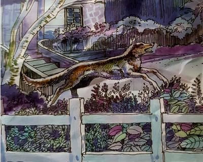 हॅरी चा कुत्रा