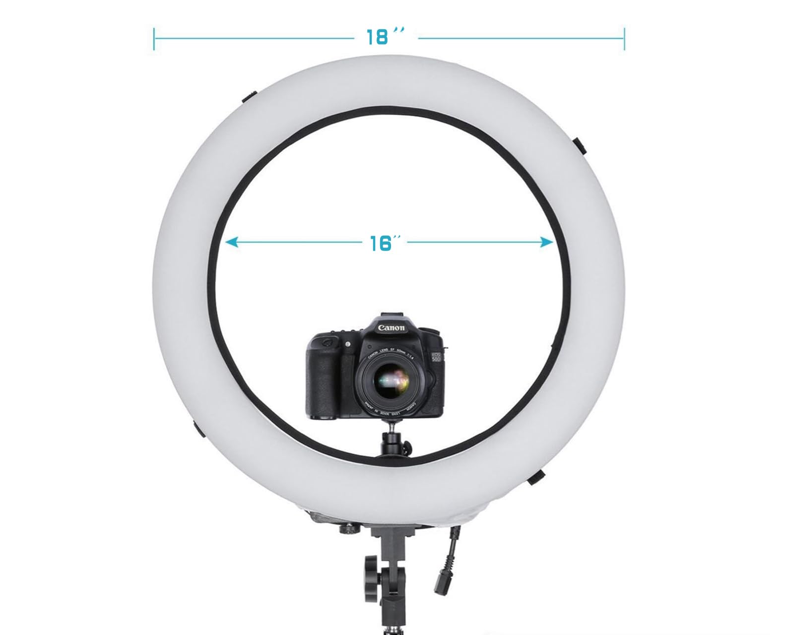 EDNEY Lot de 2 diffuseurs de lumière avec couverture élastique douce en tissu blanc pour photographie studio vidéo (convient aux anneaux de 40,6 cm à 45,7 cm)