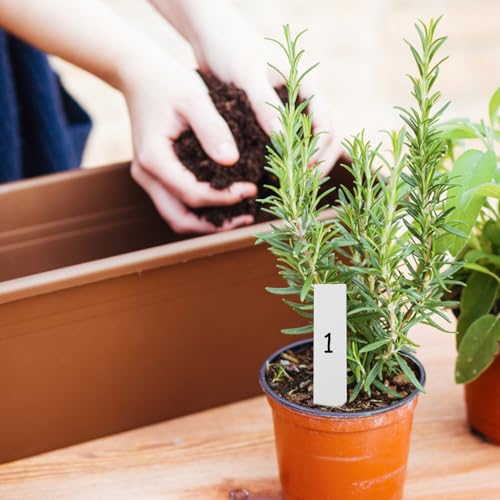 Set herramientas de jardinería Beavorty 12 pcs para suculentas miniatura 3