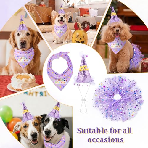 Set De Fiesta Para Perro Con Vestido, Sombrero Y Bandana Morado miniatura 7