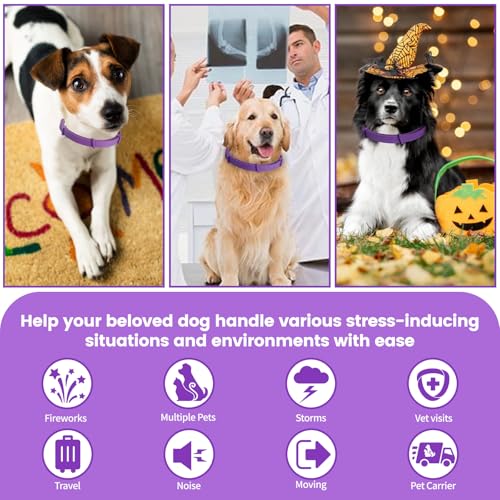 Image of Calming Dog Collar - Fast-Acting, Lasts 60 Days, Choke-Free Design, Pheromone-Infused for Anxiety & Stress Relief, Ideal for Separation Anxiety - Fits Small, Medium & Large Dogs (Black, 1 Pack)