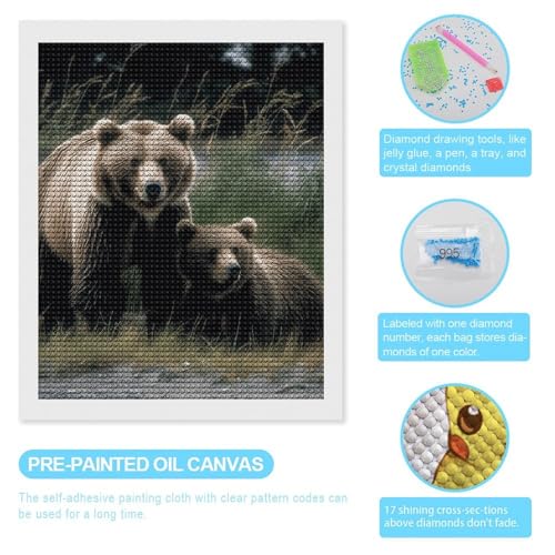 Kit peinture diamant 5D idée cadeau loisirs créatifs adulte et décoration murale maison 40x50