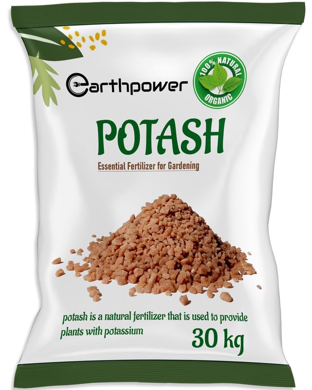 EarthPower Potash Fertilizers For Plants Essential Fertilizer for Gardening Plant Fertilizer Potash for Plants 30 Kg (B0CN39CJSX) Amazon Price History, Amazon Price Tracker