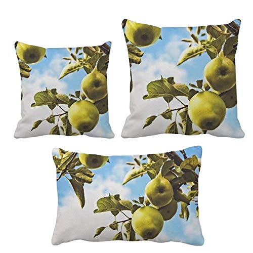 Housse de coussin Peer taie décorative salon et coussin de canapé design - 2