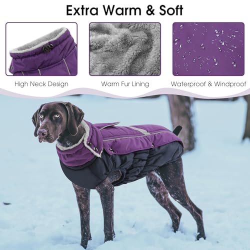 CITÉTOILE Hundemantel Wasserdichter, Hundejacke Winddichte Wintermantel Hund Outfit mit Reflektierender Streifen und Reißverschluss, Lila, M
