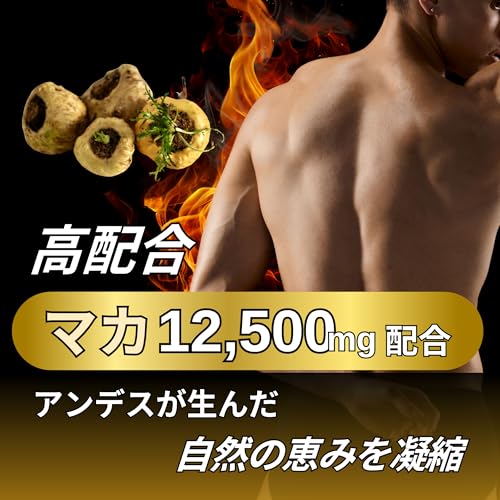 マカ サプリ 亜鉛 マルチビタミン アルギニン 120粒 - 画像 3