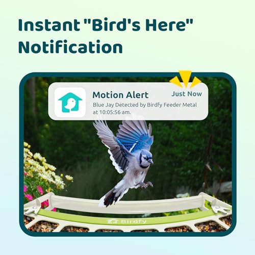 Image of Birdfy Smart Bird Feeder with Camera, Durable Metal Bird Feeders for Outdoors, Auto-Detect & Record HD Videos, Instant Alerts & Live View, Solar Powered, Weatherproof for Backyard, Ideal Gift for Mom