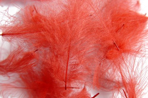 1g plumes de CDC (Cul de Canard) ROUGE pour montage de mouche de peche