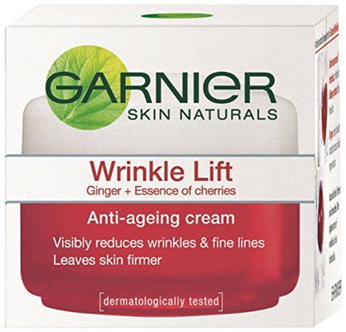 garnier wrinkle cream - Garnier Skin Naturals Wrinkle Lift Anti-Ageing Cream (40g)