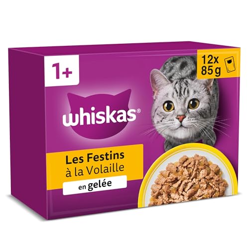 WHISKAS Aliment humide en gelée Chat adulte 12x85g Festins à la Volaille (Lot de 4) 48 Sachets