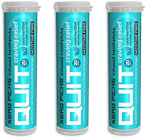Xero Picks Infused Flavored Toothpicks to Help Quit Smoking - Nicotine Free - 60 Picks (3 Packs) (Cool Mint) Non-GMO Kosher Vegan