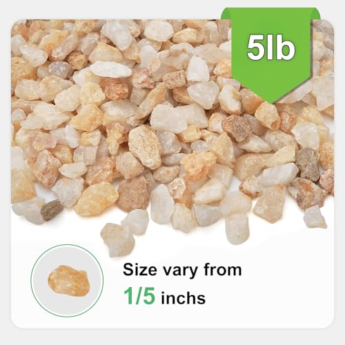 Image of 5 lbs Coarse Sand for Plants, 1 /5 Inch Horticultural Sand for Succulents, Desert Silica Sand for Cactus, Vases, Aquariums, Terrarium, Fish Tank, Drainage Gravel for Potted Plants, Bamboo, Crafts