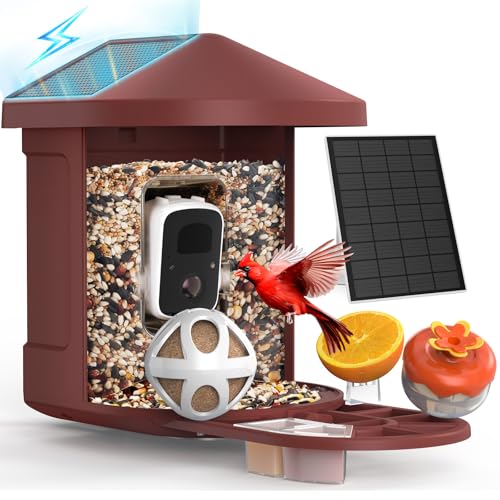 PeckCam® Bird Feeder with Camera with AI Identify 10000+ Birds