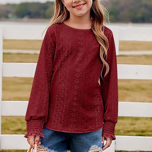 Long Sleeve Eyelet Tops for Girls Dressy Casual Crewneck Shirts Hollow Out Crochet Lace Blouses Fall Fashion Clothes 6-15T2