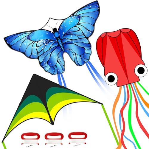 Kaiciuss Kites for Kids & Adults, Kites Set for Beginners