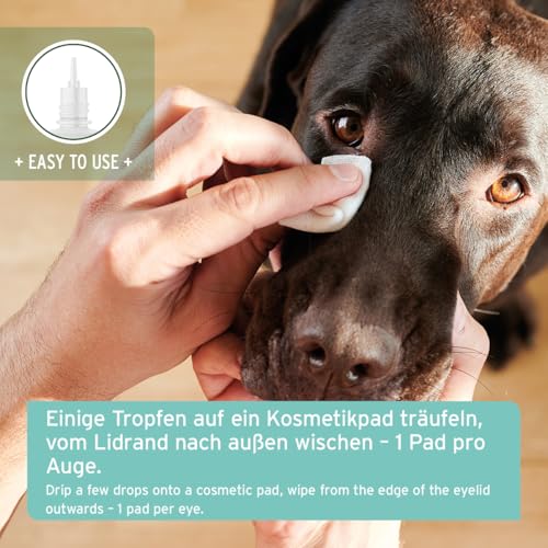 AniForte Sanfte Augenpflege 30ml - Augenreiniger für Hunde, Katzen & Kleintiere mit Augentrost, Augentropfen auf natürlicher Basis für das Augenumfeld