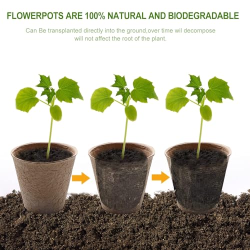 EHWINE-Peat-Pots-100-Pack-315-Inch-Seed-Starter-Pots-Round-Plant-Nursery-Pots-Garden-Organic-Peat-Pots-Kits-for-Seedling-Bonus-100-Pcs-Plant-Labels