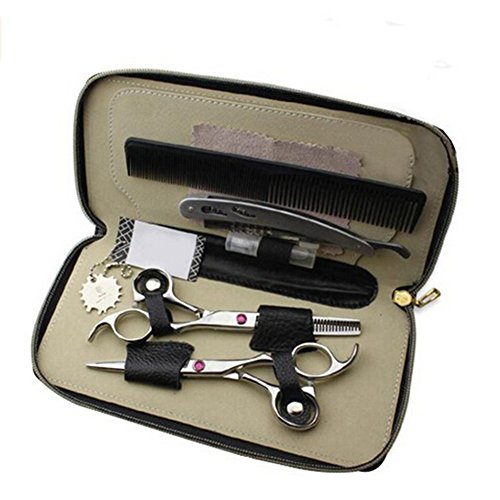 Ciseaux de coiffure pour coupe de cheveux et dilution avec coffret de transport complet