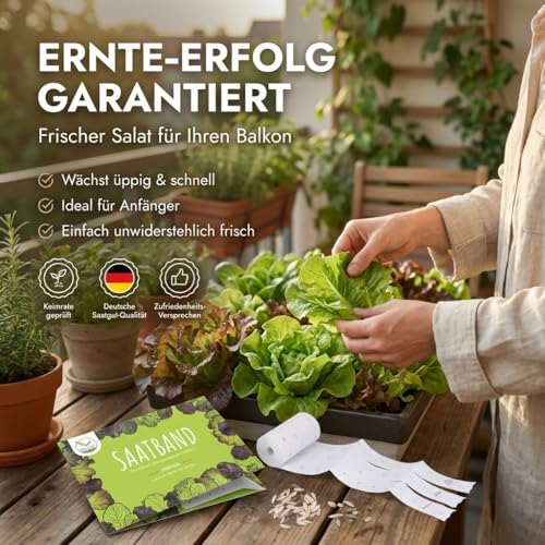 5m Saatband Salat Mix Samen (Lactuca sativa var. crispa) - Knackig, frischer Pflücksalat ideal für die Anzucht im Garten, Balkonkasten & Gemüsebeet